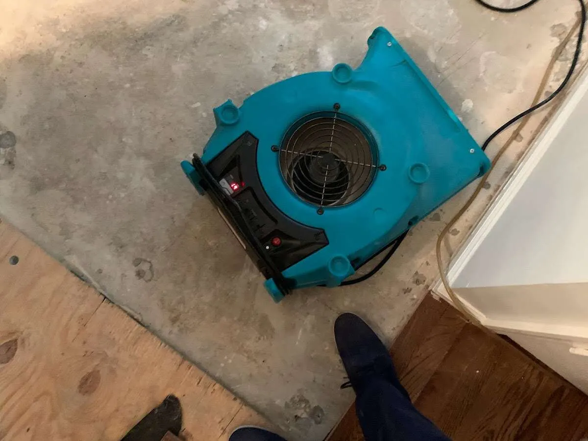 Air mover drying subfloor during Leak Detection & Repair in Woodinville