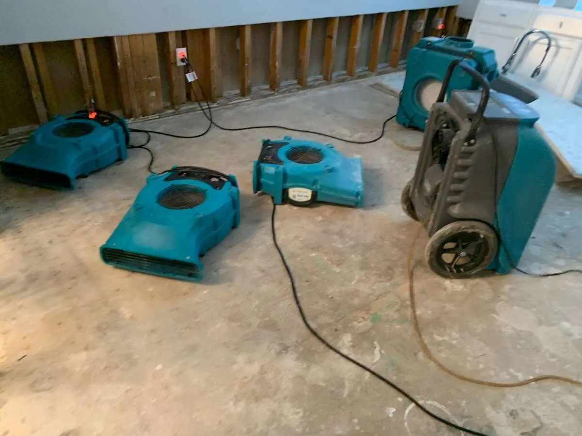 Water Damage Restoration services in Woodinville, WA